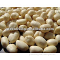 Blanched peanut kernels 2 x 12.5kgs vaccum packing